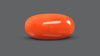 Italian Red Coral 8.66 Carats / 9.52 Ratti