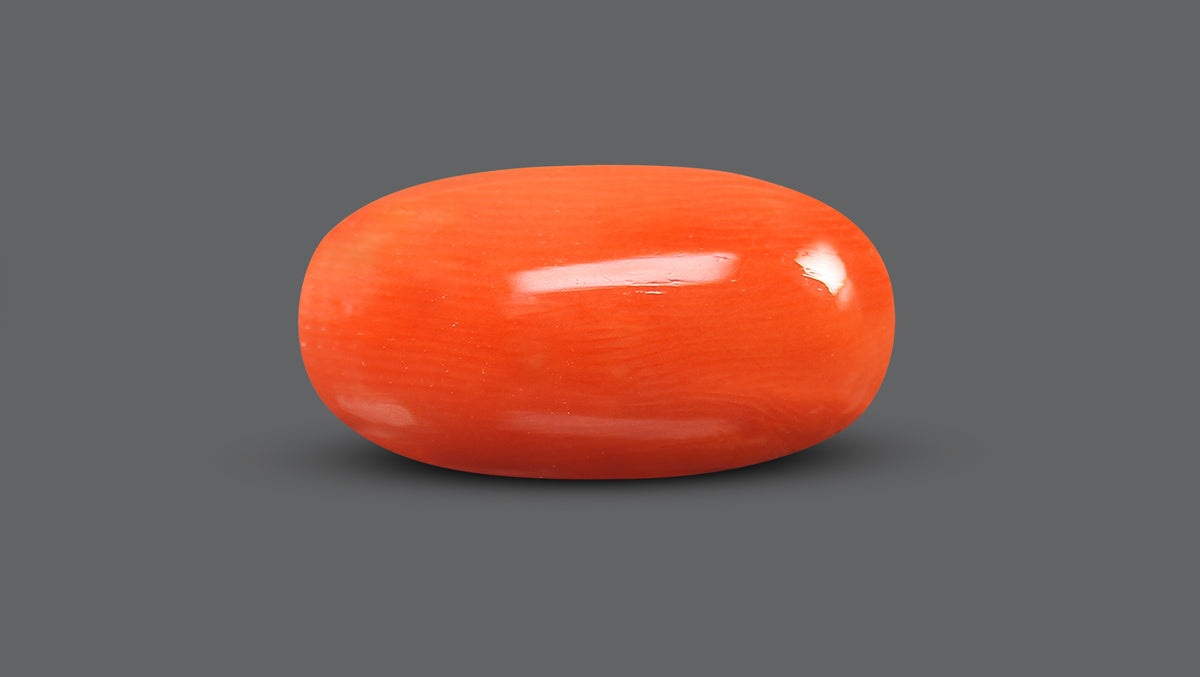 Italian Red Coral 8.66 Carats / 9.52 Ratti