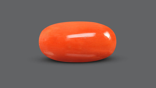 Italian Red Coral 8.66 Carats / 9.52 Ratti