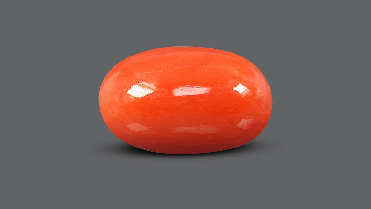 Italian Red Coral 12.56 Carats / 13.8 Ratti