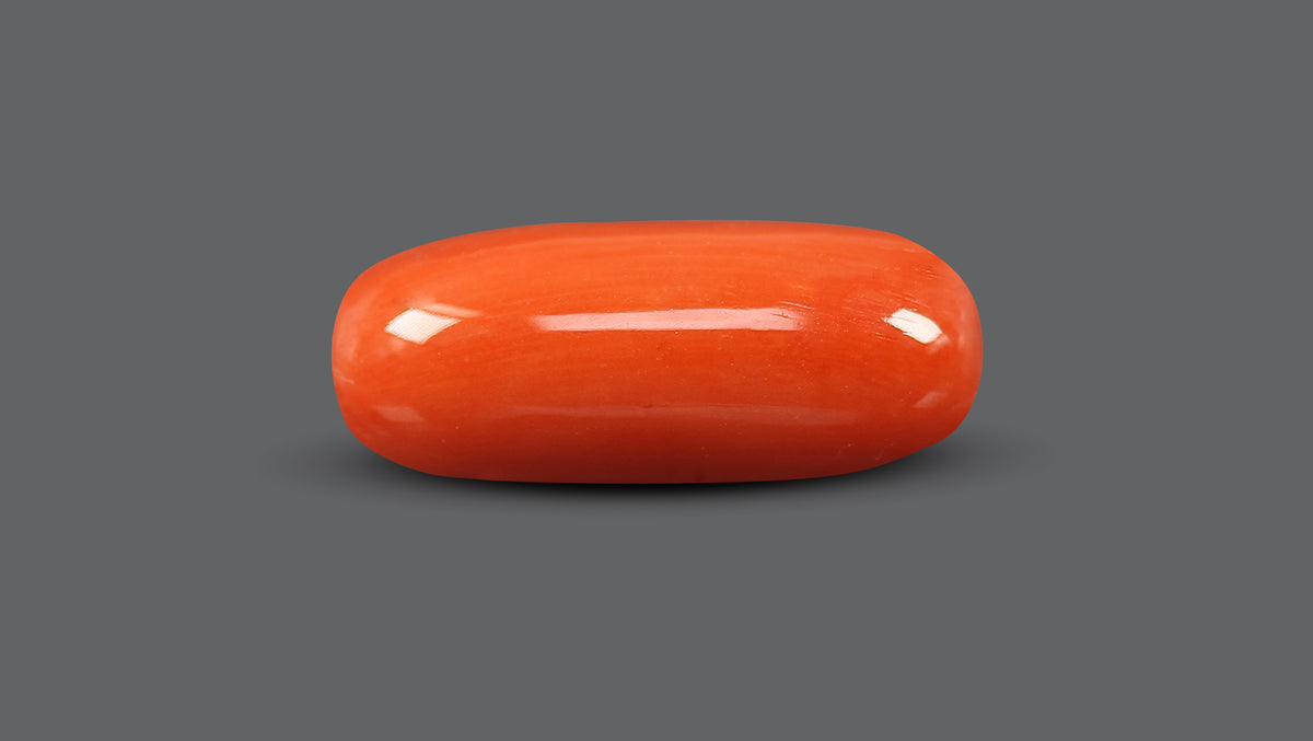 Italian Red Coral 9.64 Carats / 10.59 Ratti