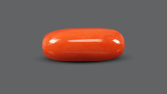 Italian Red Coral 9.64 Carats / 10.59 Ratti