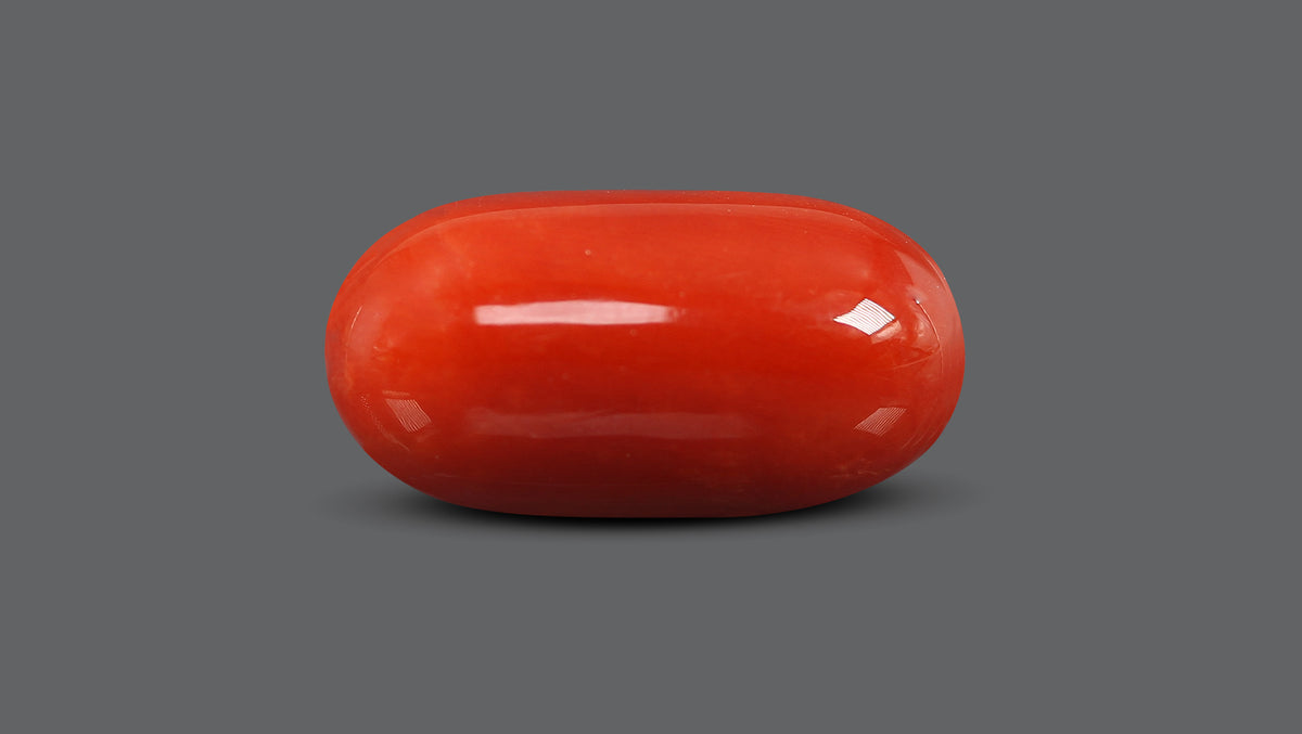 Italian Red Coral 15.82 Carats / 17.38 Ratti