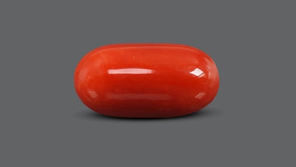 Italian Red Coral 15.82 Carats / 17.38 Ratti