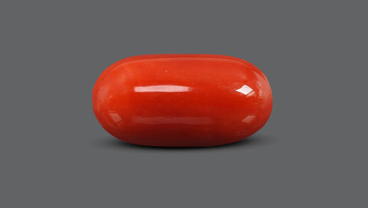 Italian Red Coral 15.82 Carats / 17.38 Ratti