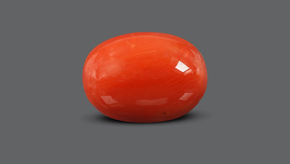 Italian Red Coral 10.78 Carats / 11.85 Ratti