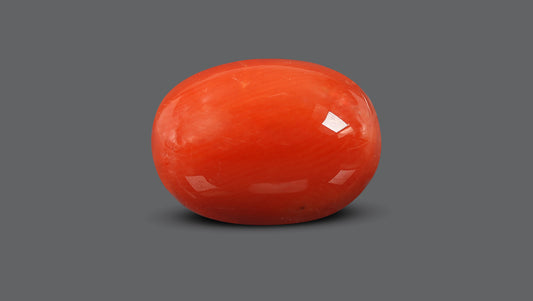 Italian Red Coral 10.78 Carats / 11.85 Ratti