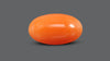 Japanese Red Coral 7.13 Carats / 7.84 Ratti