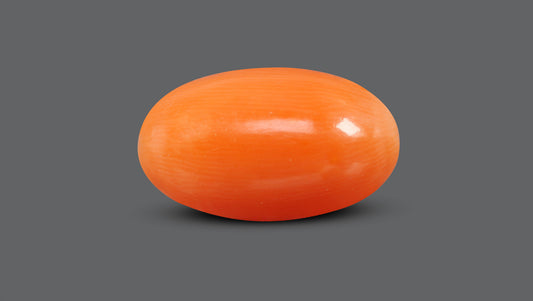 Japanese Red Coral 7.13 Carats / 7.84 Ratti