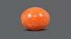 Japanese Red Coral 14.11 Carats / 15.51 Ratti