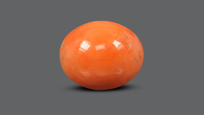 Japanese Red Coral 14.11 Carats / 15.51 Ratti