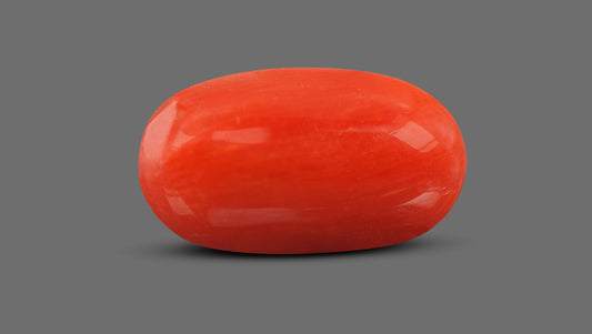 Italian Red Coral 7.30 Carats / 8.02 Ratti