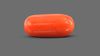 Italian Red Coral 12.36 Carats / 13.58 Ratti