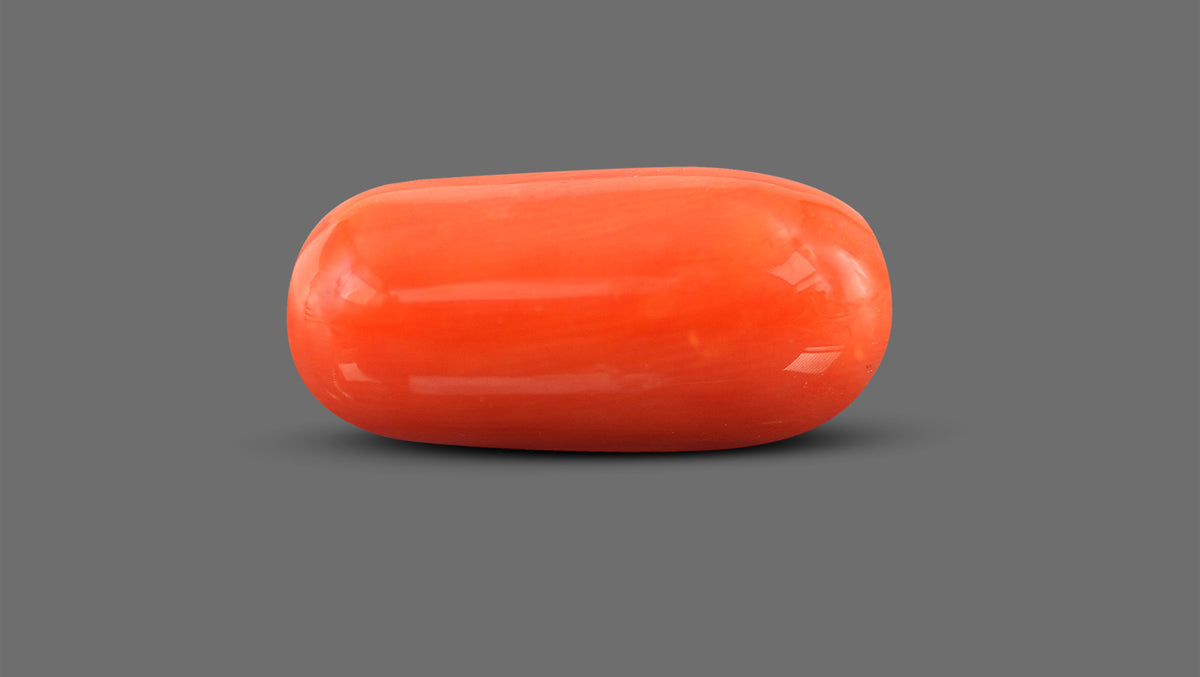 Italian Red Coral 12.36 Carats / 13.58 Ratti
