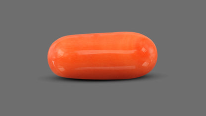 Italian Red Coral 11.30 Carats / 12.42 Ratti