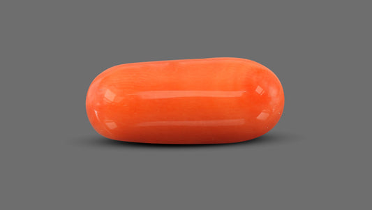 Italian Red Coral 11.30 Carats / 12.42 Ratti
