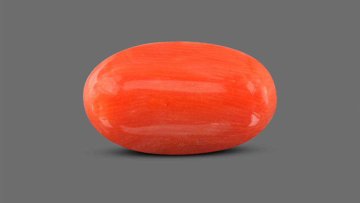 Italian Red Coral 7.03 Carats / 7.73 Ratti