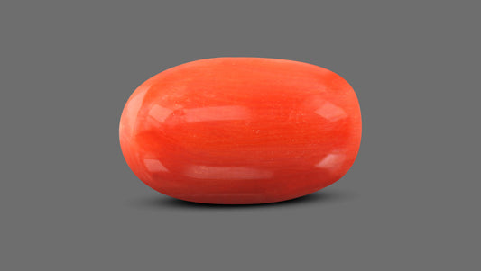 Italian Red Coral 9.16 Carats / 10.07 Ratti