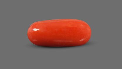 Italian Red Coral 8.46 Carats / 9.3 Ratti