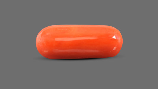 Italian Red Coral 15.22 Carats / 16.73 Ratti