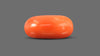 Italian Red Coral 11.20 Carats / 12.31 Ratti