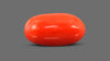 Italian Red Coral 7.51 Carats / 7.51 Ratti