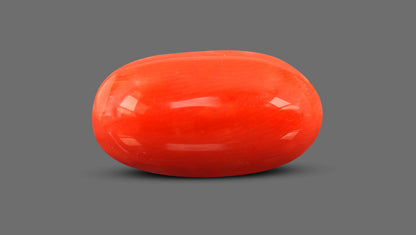 Italian Red Coral 7.51 Carats / 7.51 Ratti
