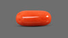 Italian Red Coral 8.76 Carats / 9.63 Ratti