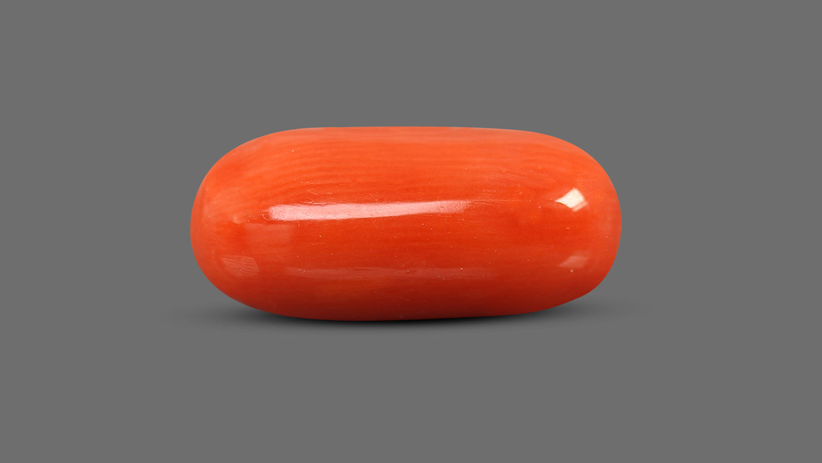 Italian Red Coral 8.76 Carats / 9.63 Ratti