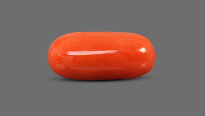 Italian Red Coral 8.76 Carats / 9.63 Ratti