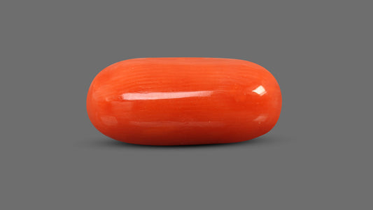 Italian Red Coral 8.76 Carats / 9.63 Ratti