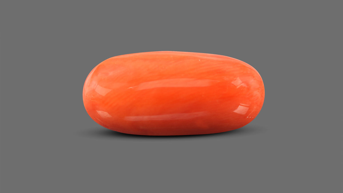 Italian Red Coral 13.34 Carats / 14.66 Ratti