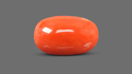 Italian Red Coral 8.47 Carats / 9.31 Ratti