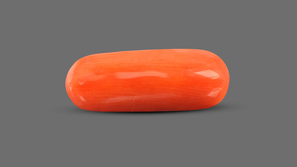 Italian Red Coral 8.89 Carats / 9.77 Ratti