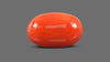 Italian Red Coral 9.23 Carats / 10.14 Ratti