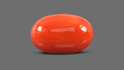Italian Red Coral 9.23 Carats / 10.14 Ratti