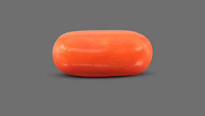 Italian Red Coral 8.73 Carats / 9.59 Ratti