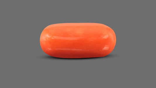 Italian Red Coral 8.73 Carats / 9.59 Ratti