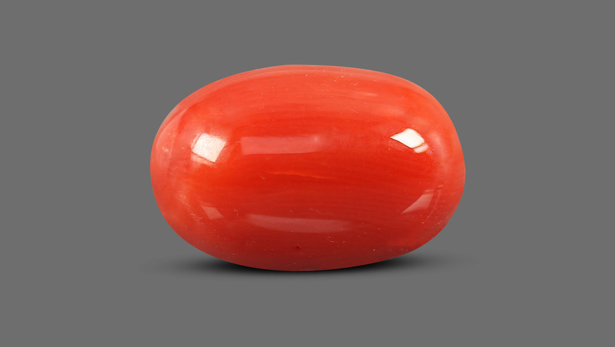 Italian Red Coral 11.70 Carats / 12.86 Ratti
