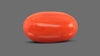 Italian Red Coral 6.98 Carats / 7.67 Ratti