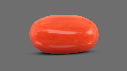Italian Red Coral 6.98 Carats / 7.67 Ratti
