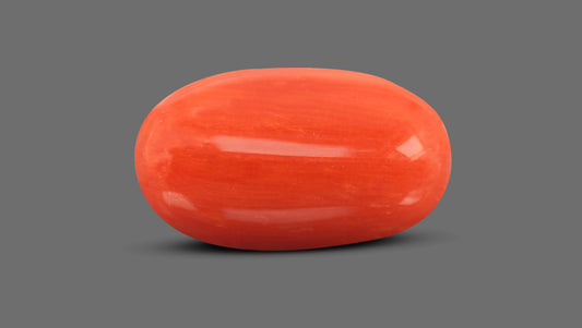 Italian Red Coral 6.98 Carats / 7.67 Ratti