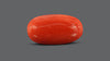 Italian Red Coral 7.82 Carats / 8.59 Ratti