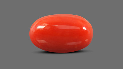 Italian Red Coral 10.93 Carats / 12.01 Ratti