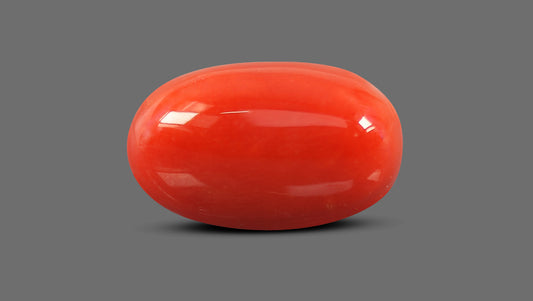 Italian Red Coral 10.93 Carats / 12.01 Ratti