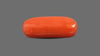 Italian Red Coral 8.63 Carats / 9.48 Ratti