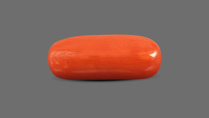 Italian Red Coral 8.63 Carats / 9.48 Ratti