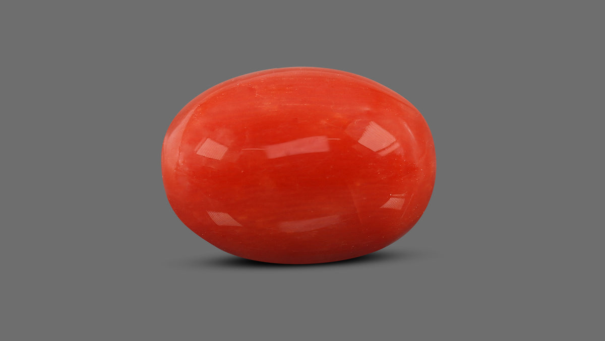 Italian Red Coral 12.80 Carats / 14.07 Ratti