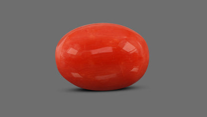 Italian Red Coral 12.80 Carats / 14.07 Ratti