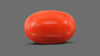 Italian Red Coral 11.93 Carats / 13.11 Ratti